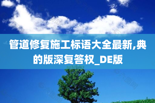 管道修复施工标语大全最新,典的版深复答权_DE版