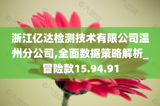 浙江亿达检测技术有限公司温州分公司,全面数据策略解析_冒险款15.94.91