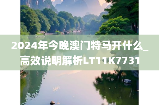 2024年今晚澳门特马开什么_高效说明解析LT11K7731