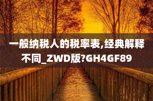 一般纳税人的税率表,经典解释不同_ZWD版?GH4GF89