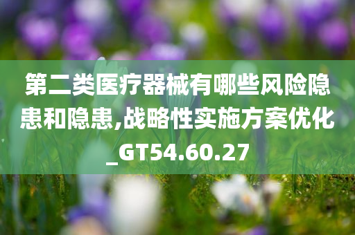 第二类医疗器械有哪些风险隐患和隐患,战略性实施方案优化_GT54.60.27