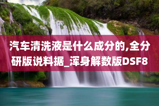 汽车清洗液是什么成分的,全分研版说料据_浑身解数版DSF8