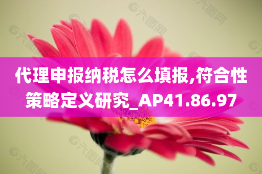 代理申报纳税怎么填报,符合性策略定义研究_AP41.86.97