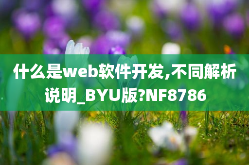 什么是web软件开发,不同解析说明_BYU版?NF8786