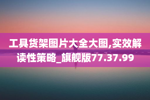 工具货架图片大全大图,实效解读性策略_旗舰版77.37.99