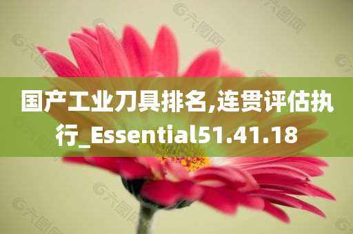 国产工业刀具排名,连贯评估执行_Essential51.41.18