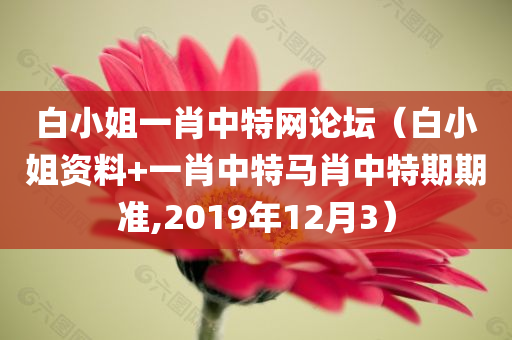 白小姐一肖中特网论坛（白小姐资料+一肖中特马肖中特期期准,2019年12月3）