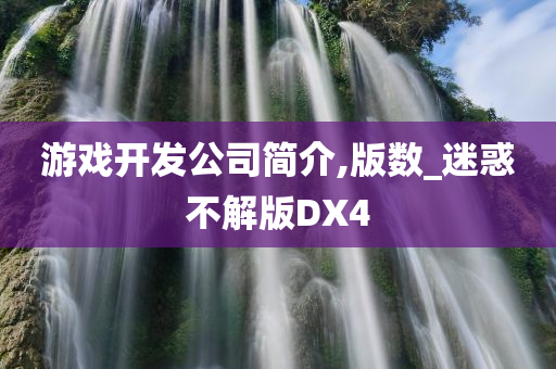 游戏开发公司简介,版数_迷惑不解版DX4