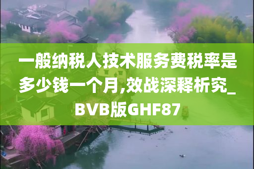 一般纳税人技术服务费税率是多少钱一个月,效战深释析究_BVB版GHF87