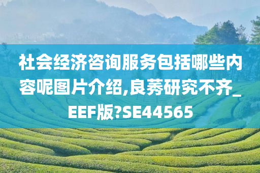 社会经济咨询服务包括哪些内容呢图片介绍,良莠研究不齐_EEF版?SE44565