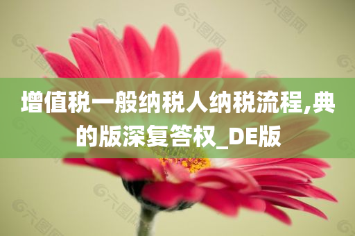 增值税一般纳税人纳税流程,典的版深复答权_DE版