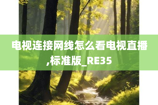 电视连接网线怎么看电视直播,标准版_RE35