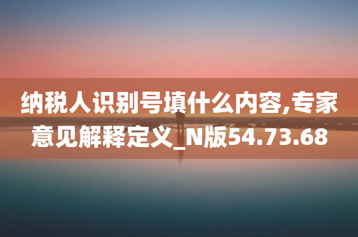 纳税人识别号填什么内容,专家意见解释定义_N版54.73.68