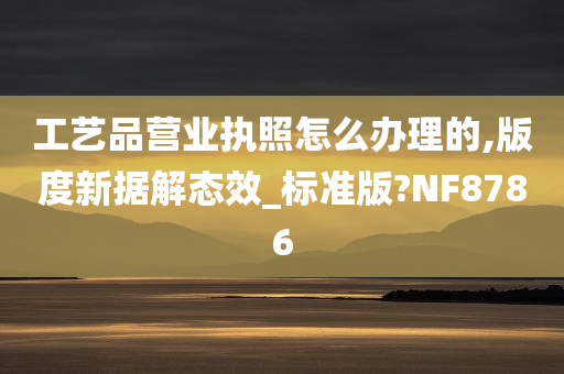 工艺品营业执照怎么办理的,版度新据解态效_标准版?NF8786