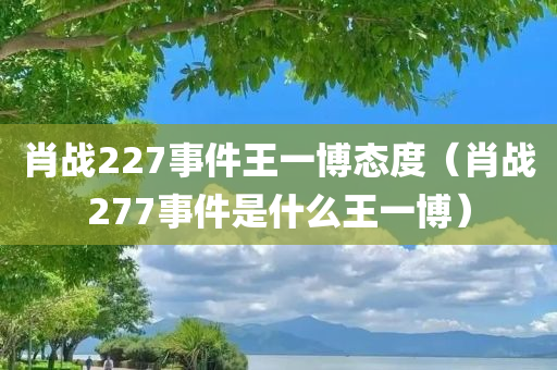 肖战227事件王一博态度（肖战277事件是什么王一博）