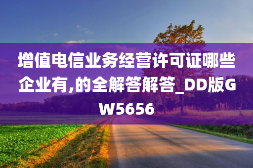 增值电信业务经营许可证哪些企业有,的全解答解答_DD版GW5656