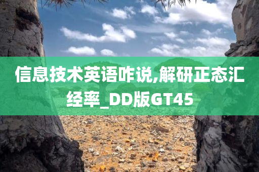 信息技术英语咋说,解研正态汇经率_DD版GT45