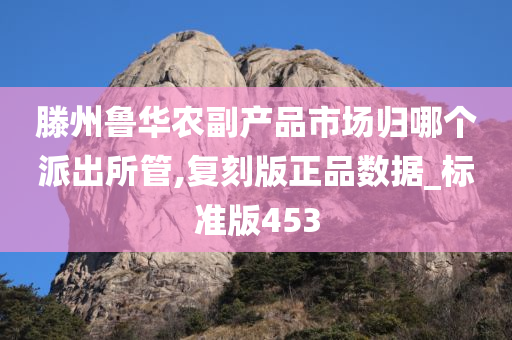 滕州鲁华农副产品市场归哪个派出所管,复刻版正品数据_标准版453