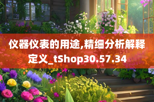 仪器仪表的用途,精细分析解释定义_tShop30.57.34