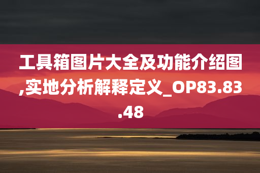 工具箱图片大全及功能介绍图,实地分析解释定义_OP83.83.48