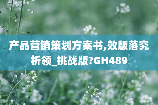 产品营销策划方案书,效版落究析领_挑战版?GH489