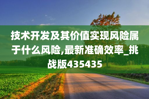 技术开发及其价值实现风险属于什么风险,最新准确效率_挑战版435435