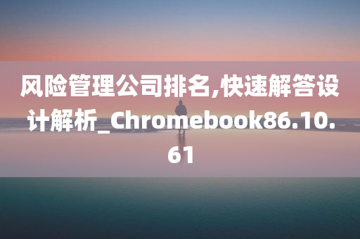 风险管理公司排名,快速解答设计解析_Chromebook86.10.61