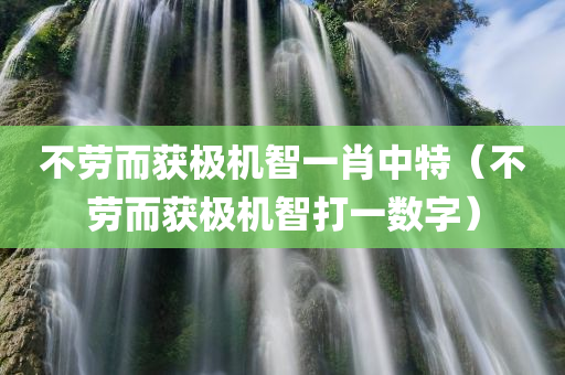 不劳而获极机智一肖中特（不劳而获极机智打一数字）