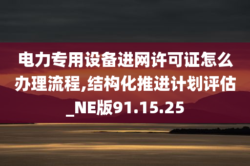 电力专用设备进网许可证怎么办理流程,结构化推进计划评估_NE版91.15.25