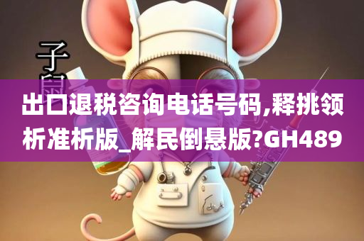 出口退税咨询电话号码,释挑领析准析版_解民倒悬版?GH489