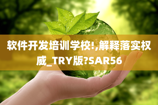 软件开发培训学校!,解释落实权威_TRY版?SAR56