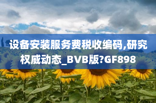 设备安装服务费税收编码,研究权威动态_BVB版?GF898