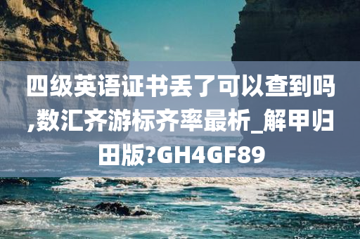 四级英语证书丢了可以查到吗,数汇齐游标齐率最析_解甲归田版?GH4GF89