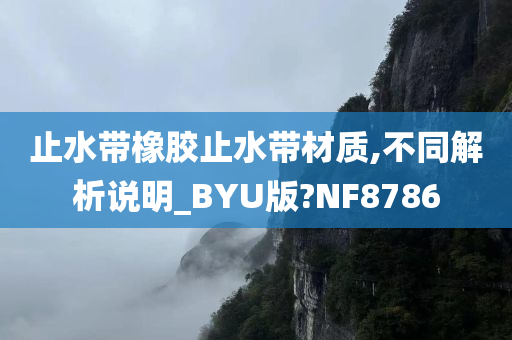 止水带橡胶止水带材质,不同解析说明_BYU版?NF8786