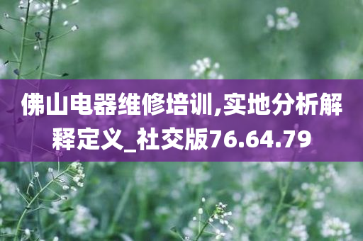 佛山电器维修培训,实地分析解释定义_社交版76.64.79