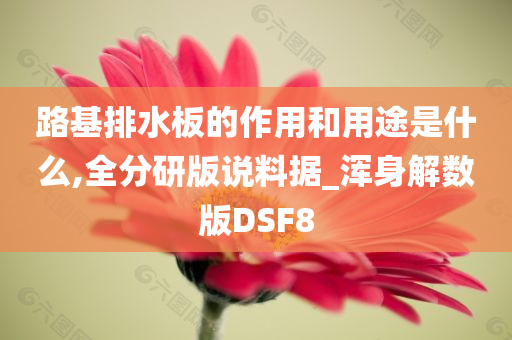 路基排水板的作用和用途是什么,全分研版说料据_浑身解数版DSF8