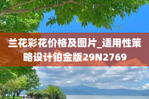 兰花彩花价格及图片_适用性策略设计铂金版29N2769