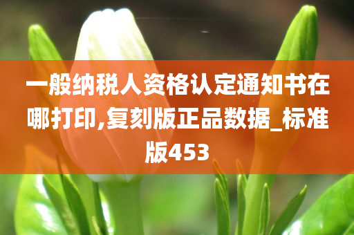 一般纳税人资格认定通知书在哪打印,复刻版正品数据_标准版453