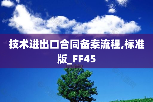 技术进出口合同备案流程,标准版_FF45