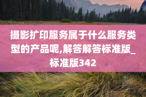 摄影扩印服务属于什么服务类型的产品呢,解答解答标准版_标准版342