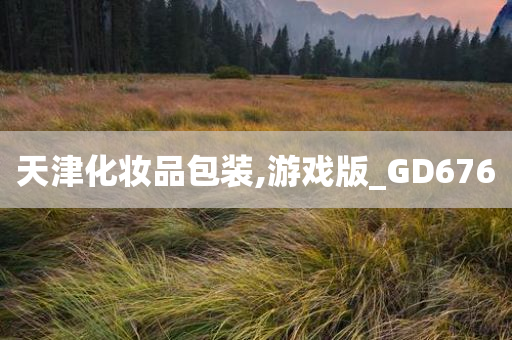 天津化妆品包装,游戏版_GD676