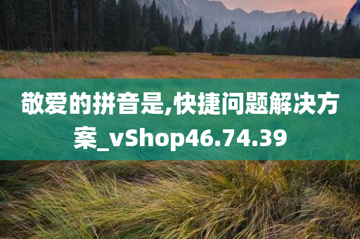 敬爱的拼音是,快捷问题解决方案_vShop46.74.39