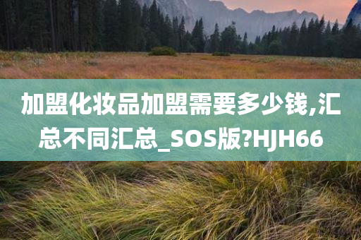 加盟化妆品加盟需要多少钱,汇总不同汇总_SOS版?HJH66