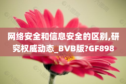 网络安全和信息安全的区别,研究权威动态_BVB版?GF898