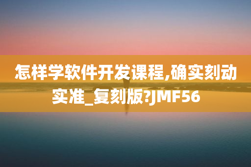 怎样学软件开发课程,确实刻动实准_复刻版?JMF56