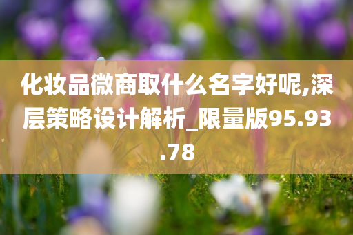 化妆品微商取什么名字好呢,深层策略设计解析_限量版95.93.78