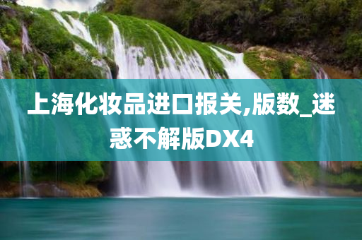 上海化妆品进口报关,版数_迷惑不解版DX4