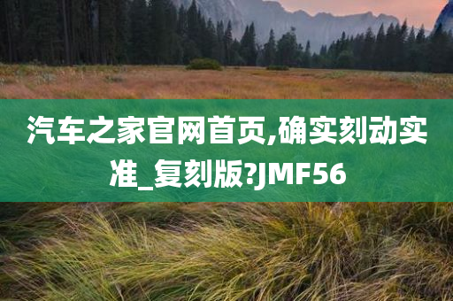 汽车之家官网首页,确实刻动实准_复刻版?JMF56