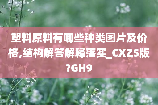 塑料原料有哪些种类图片及价格,结构解答解释落实_CXZS版?GH9