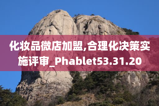 化妆品微店加盟,合理化决策实施评审_Phablet53.31.20